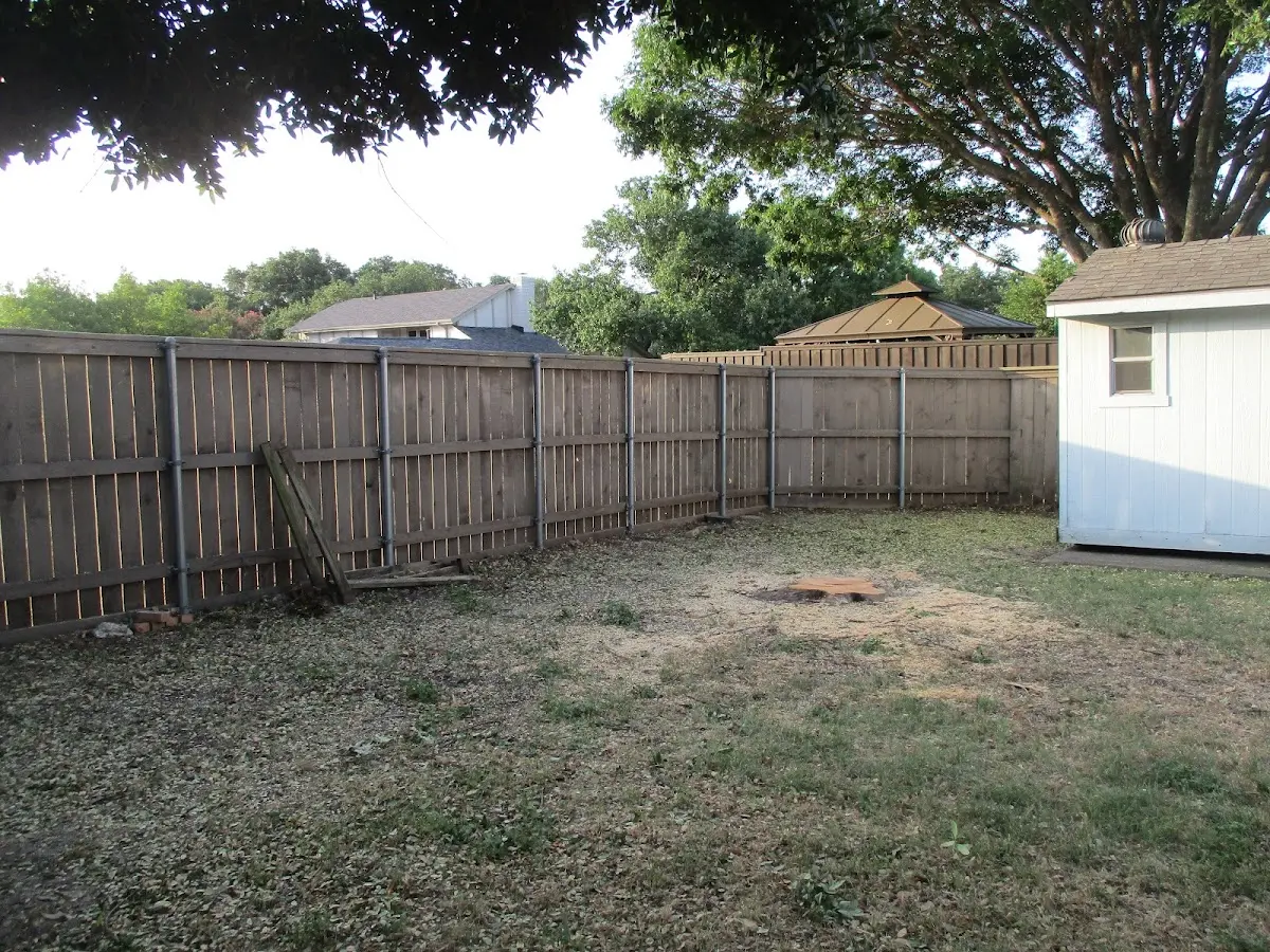 Cleared yard after professional tree removal in Croydon